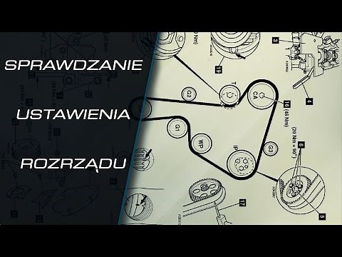 How to check the correct timing? 1Z AFN ALH ASV and others.