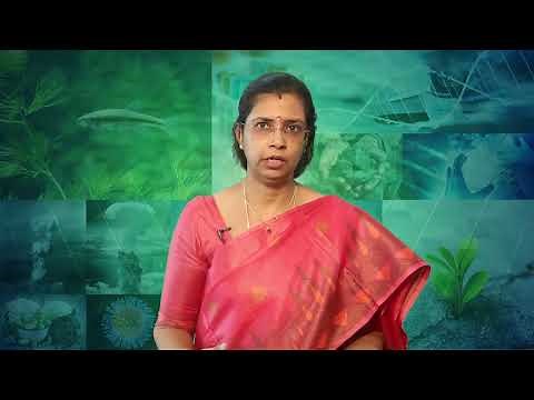 Introduction to environmental toxicology