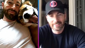Chris Evans’ dog Dodger is more than simply a man’s best friend to the actor. | Entertainment Tonight