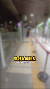 36K views · 325 reactions |  SINGAPORE GREEN BUS 170x fastest bus ride back from Malaysia 乘坐新加坡青色巴士 Transitlink BUS 返回新加坡 #baspekerja #cwbus #causewaylink #causewaylinkbus #johorbus #singapore #malaysia #CIQ #johor #mdac #fastestway #cwbus #bus160 #bus170 #bus170x #bus950 #马来西亚蓝色巴士 #返回新加坡 #马来西亚黄色巴士 #黄色巴士 #青色巴士 | Bibipew | Facebook