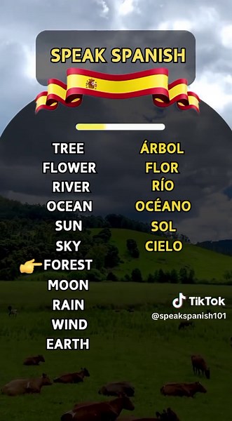 speak Spanish on TikTok