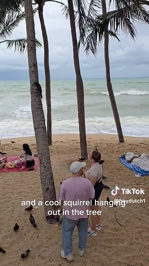 Some serious wind at the beach in Jomtien today! #dutchjoneslive #dutchjones #travel #Thailand #beach #expats