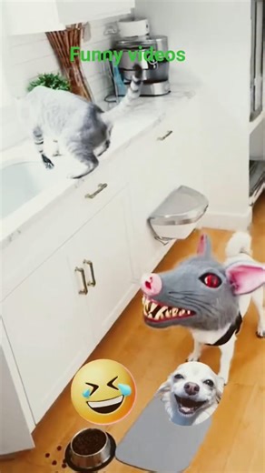 Chihuahua Scary Mask Prank 😂 #shorts #shortfeed #viral