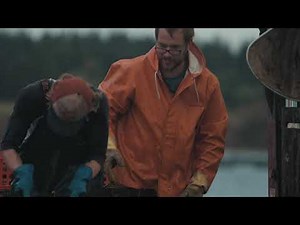 Oyster Harvesting on Prince Edward Island