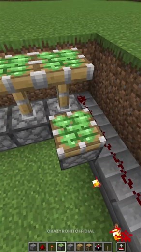 Minecraft Hidden Enchant #shorts #minecraft