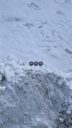 #iceeatingasmr #freezerfrosteating #freezerfrostasmr #freezerfrost #iceasmrsounds