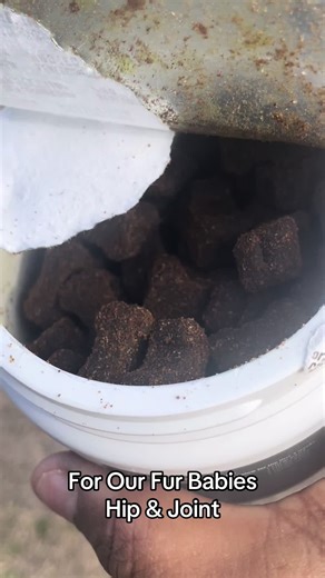 Fur babies Hips & Joint pain & inflammation ##hip##dog##joint