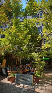 Breakfast with Hundertwasser? Don’t mind if we do! 🥐🎨 Café Friedlich @friedlich.wien brings you seasonal flavors, homemade cakes & a lunch menu straight from Vienna’s creative heart. Open daily inside @kunsthauswien_hundertwasser 💚 📸 @j.thiller #vienna_austria #summer #bruch #vienna #wien #vienna_city #food #foodie | vienna.info