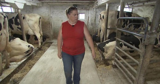Wisconsin dairy farmers brace for impact of tariffs