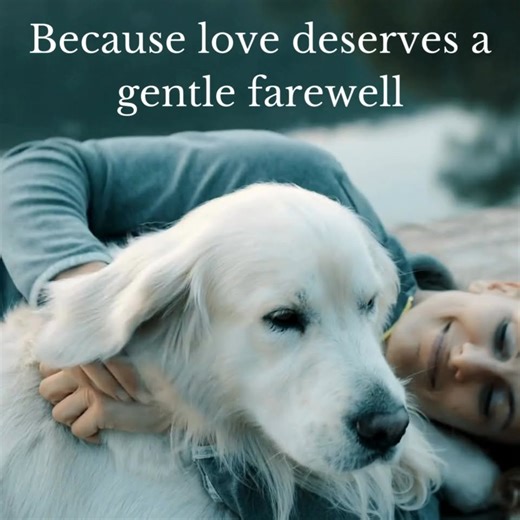 Give your pet the loving goodbye they deserve with our gentle, eco-friendly water 💧cremation. At Pure Souls Pet Aqua Cremation in Townsville, our compassionate process offers a heartfelt tribute 🌳 that honours your cherished companion 🐾 and our beautiful planet. Discover our gentle approach today. | Pure Souls Pet Aquacremation