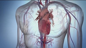 New revolutionary procedure to treat atrial fibrillation | Sharp is first hospital on West Coast for clinical study with Biosense Webster Inc.