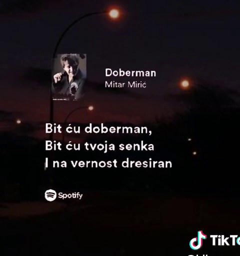 Doberman Speed Song by Mitar Miric