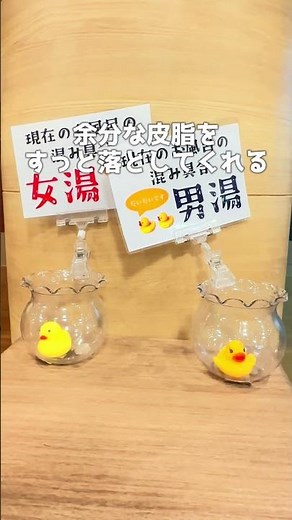 東海最大級の源泉かけ流し露天で、何もしない贅沢ができる温泉施設