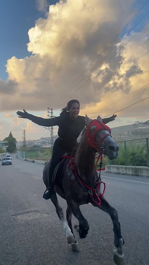 #@golden_horse_club0 #فرسان_لبنان #خيل_عربي_اصيل #خيل_وخياله🐎 #خيالة_لبنان #الإمارات #foryoupage #fypシ