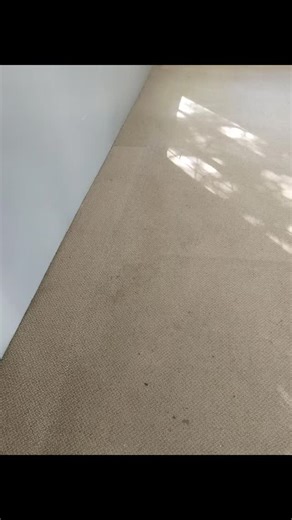 Rug Doctor Pro North Coast on Instagram: "Almost back to school 🔡 A fresh start to 2026 for Dolphin Coast Pre Primary 👌🏻 #carpetcleaning #beforeandafter #ballito#ballitobusiness #backtoschool2026 CALL THE PRO‼️ Tash 082 720 9110"