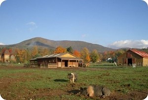 Woodstock Farm Animal Sanctuary - Alchetron, the free social encyclopedia