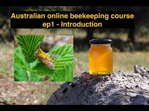 Online beekeeping course ep1: introduction