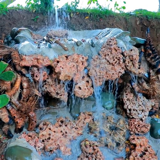 Puppies and monkeys Mother and Daughter finds frogs and snails cook Eating delicious | Survival Life Skill