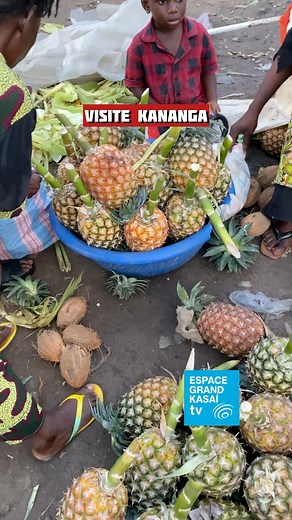 #Kananga #Visite Aujourd’hui, nous vous emmenons quelque part dans la belle ville de Kananga ! 🌍il est 18h 🕕 chez nous Venez déguster les BIOS de chez nous, 100 % naturels — même de loin, on peut en sentir le goût 🤗 Chez nous, c’est chez nous ! Devinez l’endroit svp ! | Espace Grand Kasaï Tv