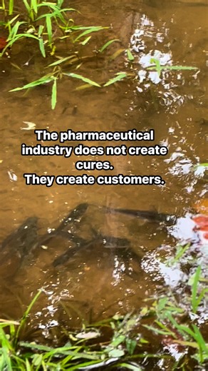 The pharmaceutical industry… #reels | Sick Twisted Humor