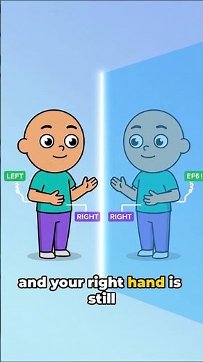 The Truth About Mirror Reflections