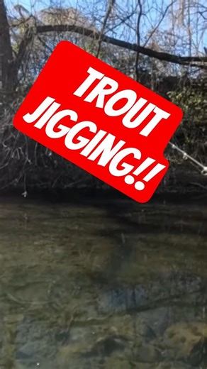 Jig Fishing for Rainbow Trout 🎣 #jigfishing #troutfishing #creekfishing #shorts #viral #blowup