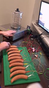 45K views · 197 reactions |  Sausage Piano  Patrick's World ⠀ #music #engineering #keyboard #instrument #piano #sausage #bockwurst #diy | Avid | Facebook