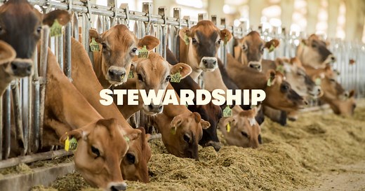 Stewardship Landing Page