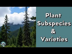Plant Subspecies and Varieties