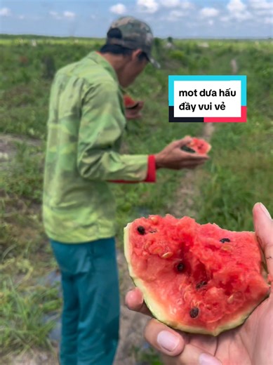 Mót dưa hấu toàn gặp trái to to không, mừng quá rồi anh Hai Đông ơi. #thuhoach #donghao #amthucdonghao #motduahau
