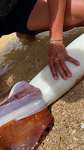 Pink giant squid turn to white😅 #ordanalmodielollos #seafood #recipe @highlight | Ordan Almodiel Ollos