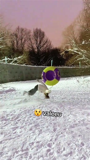 😲😲 a sărit direct in cap❗ Accident la sanius #romania #sanius #fy #accident #fazeamuzante #fail #winter | Activități în familie