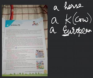 Articles (1) The is called the definite article and a/an the in... | Filo