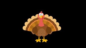 clip-1056182732-thanksgiving-turkey-bird-cartoon-character-4k-animation