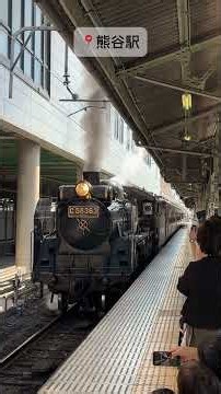 【秩父鉄道】 SLパレオエクスプレス！熊谷駅、三峰口駅にて