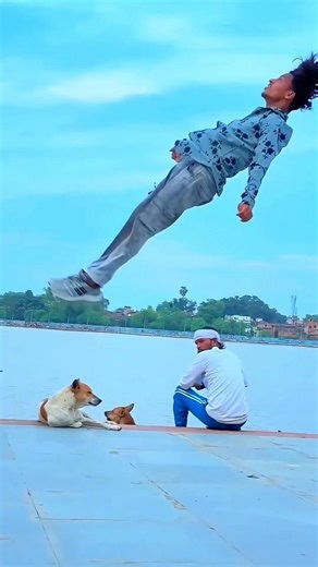 Dog🐶friendship speaks louder than words #viraljump #dogapparel #dogshorts #doglife #youtubeshorts .