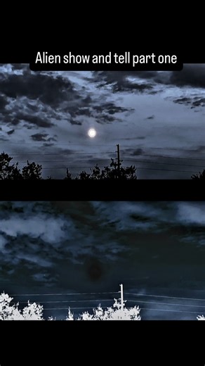 Brian Ladd | Alien show and tell part one looking at a beautiful alien mothership and a simulated moon this alien bird is showing us around #alien... | Instagram