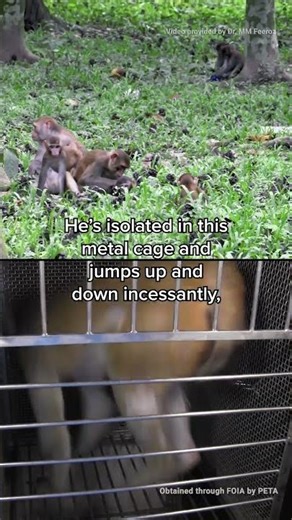 Where do you think he belongs?