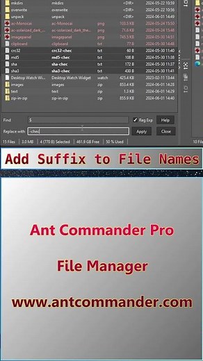 Add a Suffix to File Names on Windows #filemanager #files #suffix