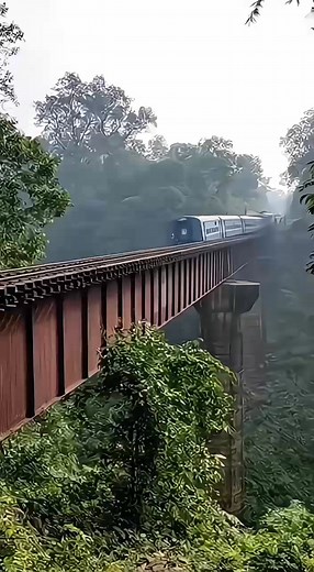 Train accident #train #accident #accidenttrain | Rasy Feed