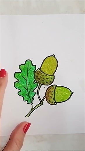 Draw ACORNS