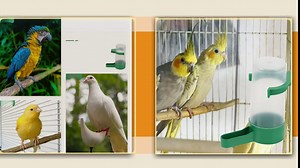 POPETPOP Automatic Bird Water Dispenser with Spill-Resistant Design 3.3-Inch Outlet Plastic Parakeet and Parrot Cage Feeder for Home and Aviary Use