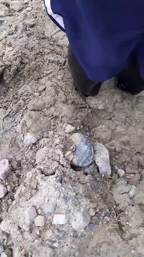 Caro Quicksand Challenge: Boots Stuck in Mud