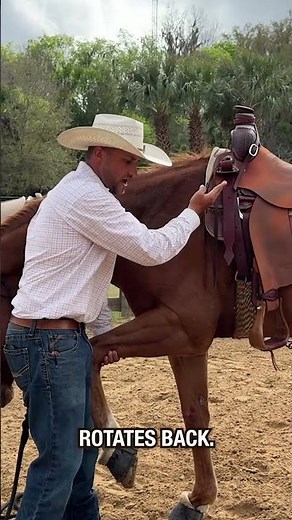Have you checked this with your saddle? #horse #western