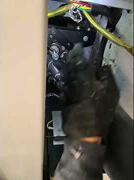 *Maytag MLG31 Dryer Belt Installation – Complete Step-by-Step*