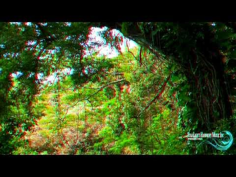 YouTube 3D, 3D Videos, Real 3d, Nature Scene, Hawaii 3d N°5