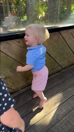 We got to visit the #Zoo with our lil crew! The head rub at the end makes me smile! ☀️🦒🦓🐘 #shorts