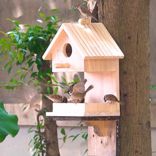 Building the Most Amazing Bird House & Feeder Ever! #DIYBirdHouse #BirdFeeder #WoodworkingDIY #BackyardProject #MadeInUSA | Woodworking Tools