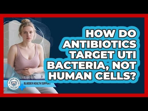 How Do Antibiotics Target UTI Bacteria, Not Human Cells? - Bladder Health Support
