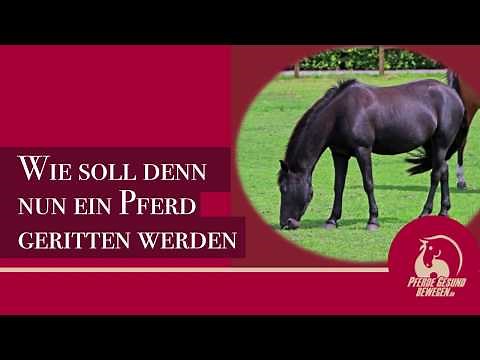 Wie soll das Pferd geritten werden - Pferde gesund bewegen